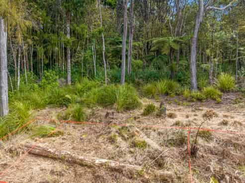 252 Piha Road, Piha
