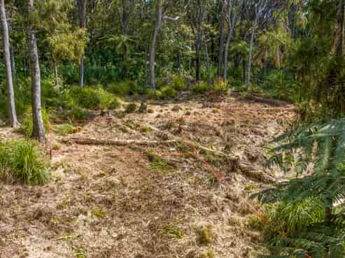 252 Piha Road, Piha