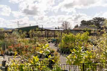 Thriving Garden Centre Opportunity
