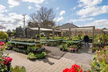 Thriving Garden Centre Opportunity