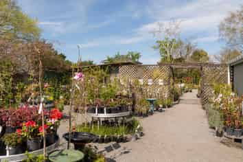 Thriving Garden Centre Opportunity