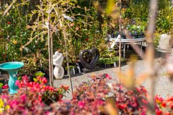 Springboard into a Proven Garden Centre Business