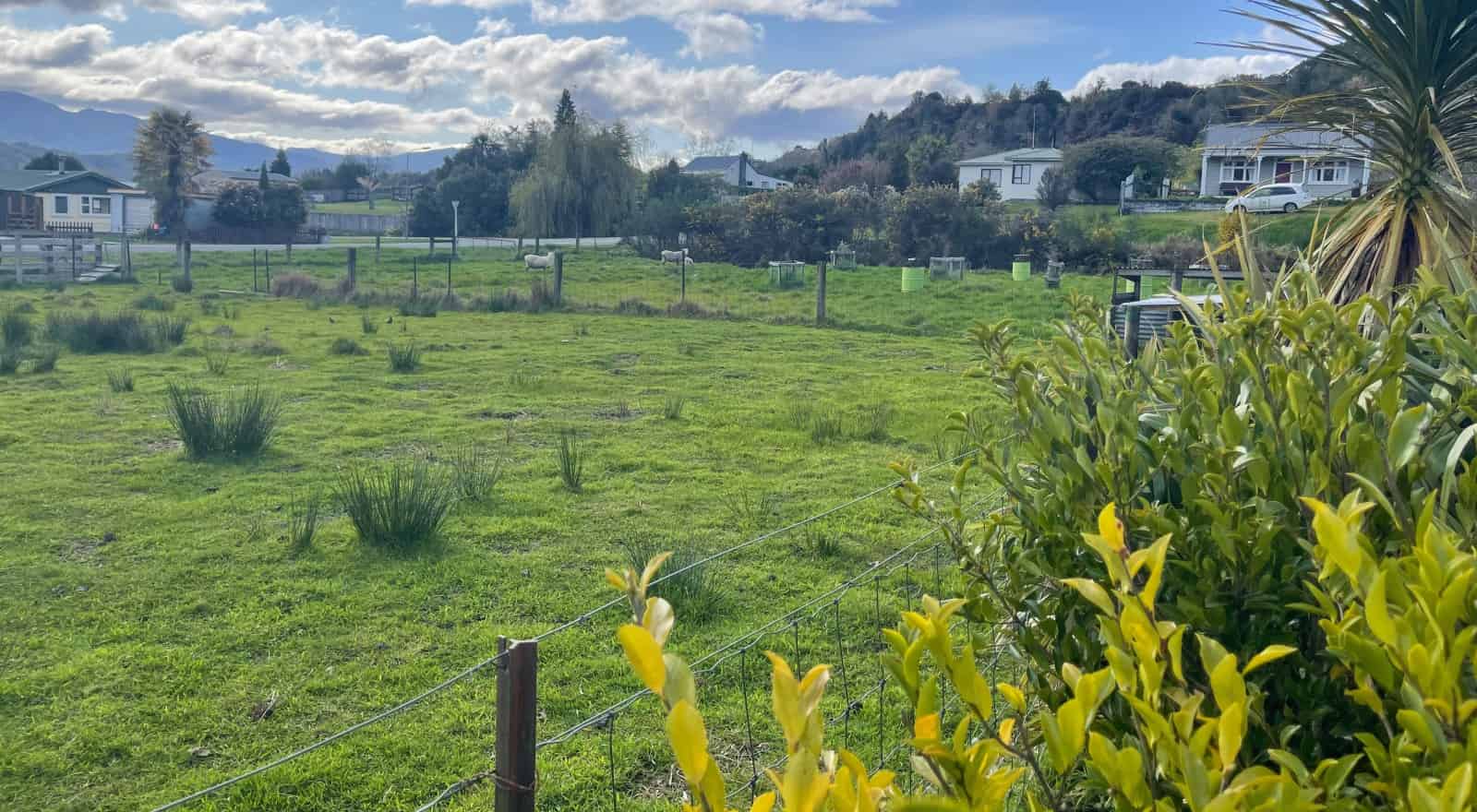 7 Herald Street, Reefton, Buller For Sale realestate.co.nz