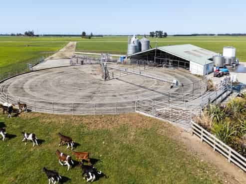 429 Frisbys Road, Hinds