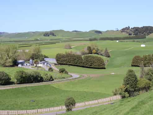 734 Bird Road, Pukengahu