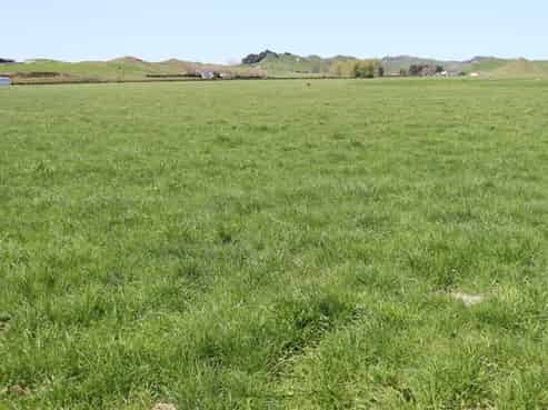 734 Bird Road, Pukengahu