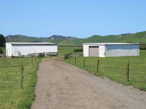 734 Bird Road, Pukengahu