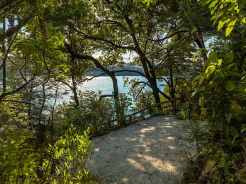 113 Port Underwood Road, Waikawa
