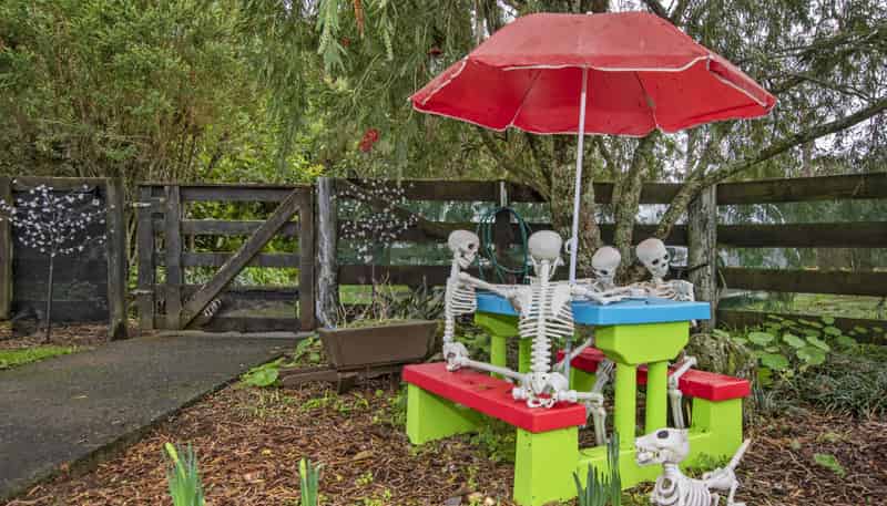 241 Whatitiri Road, Maungatapere