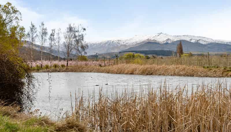 192 Strode Road, Earnscleugh, Clyde