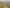 192 Strode Road, Earnscleugh, Clyde
