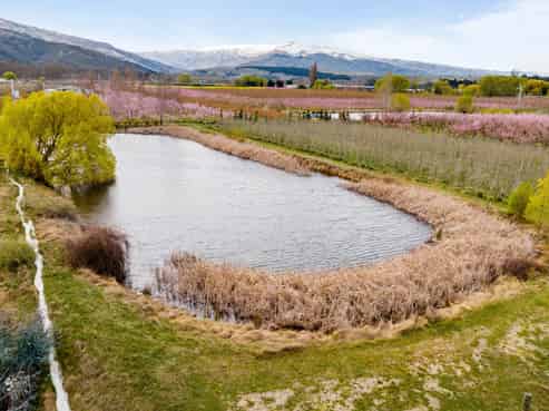 192 Strode Road, Earnscleugh, Clyde