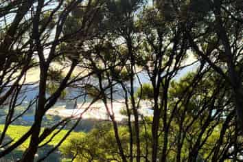21 Primrose Hill Road, Great Barrier Island