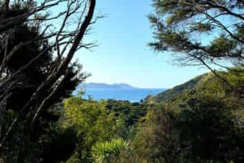 21 Primrose Hill Road, Great Barrier Island