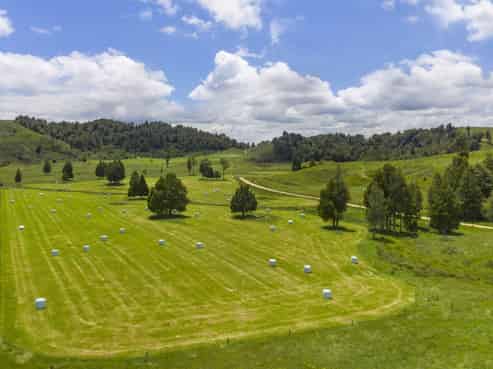 1930 State Highway 4, Aria