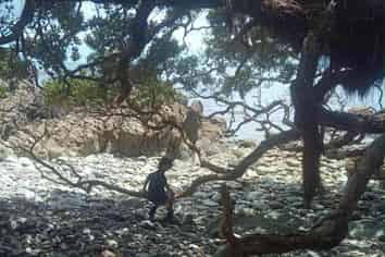 Lot 4, 303 Waiaua Road, Hihi