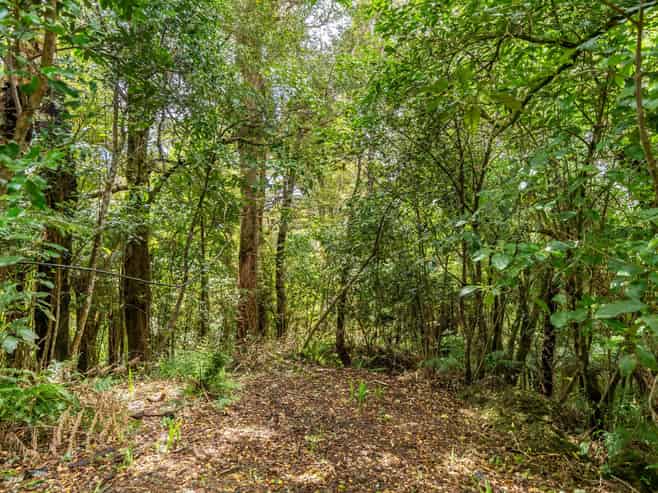 98 Avro Road, Blue Mountains