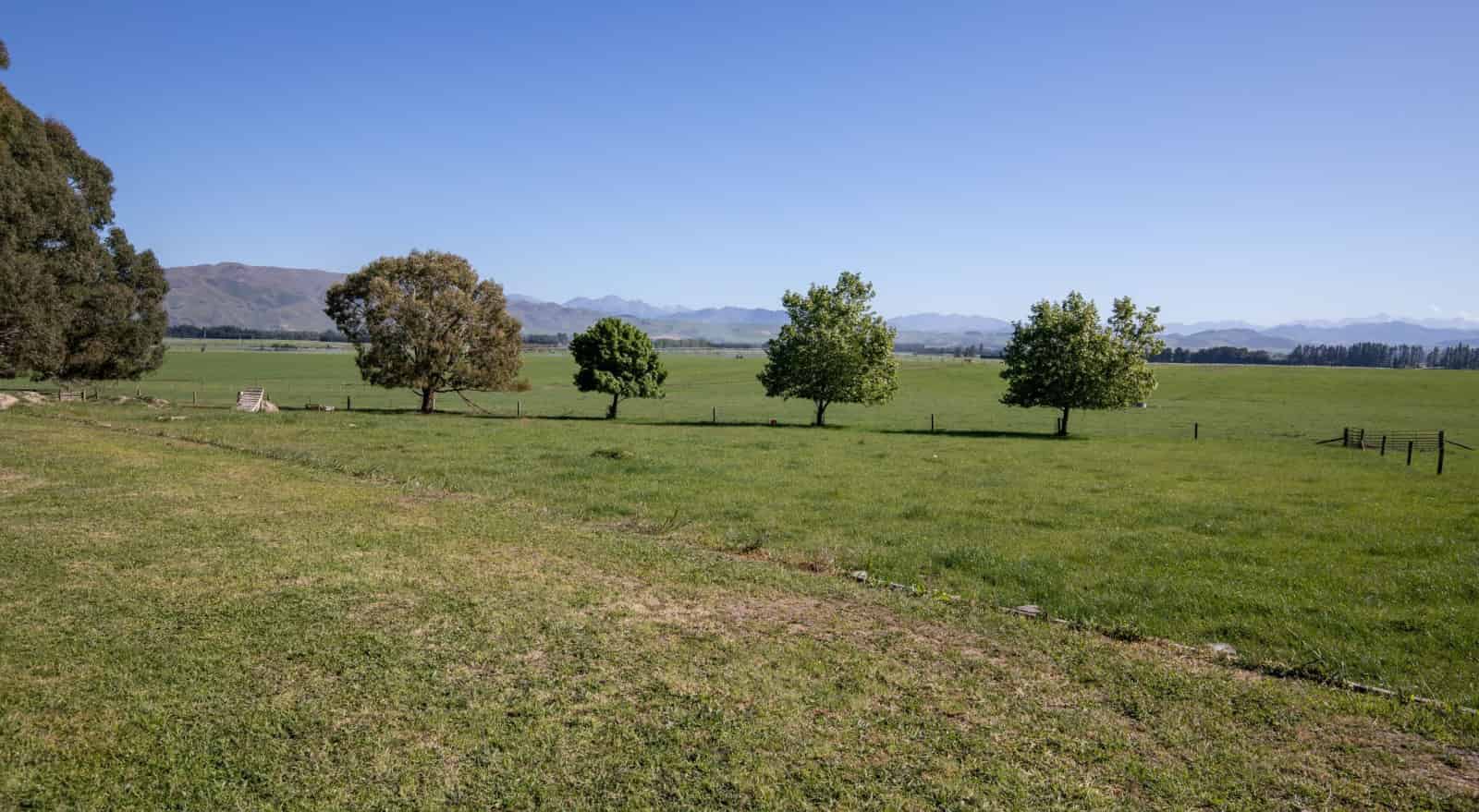 270 Downs Road, Cheviot, Hurunui For Sale realestate.co.nz