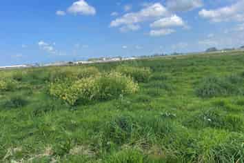 Airside Industrial Land At Hamilton Airport