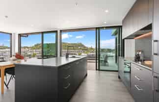 1/603 Enfield Street, Mount Eden