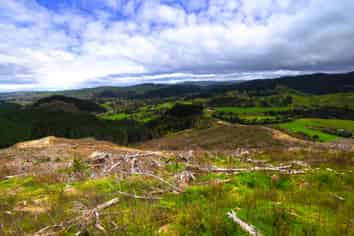  Millgo Forest, Masterton