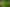  Millgo Forest, Masterton