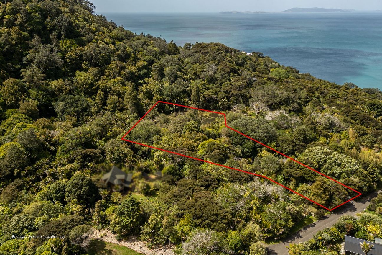 Peaceful on Puriri - Vista 2