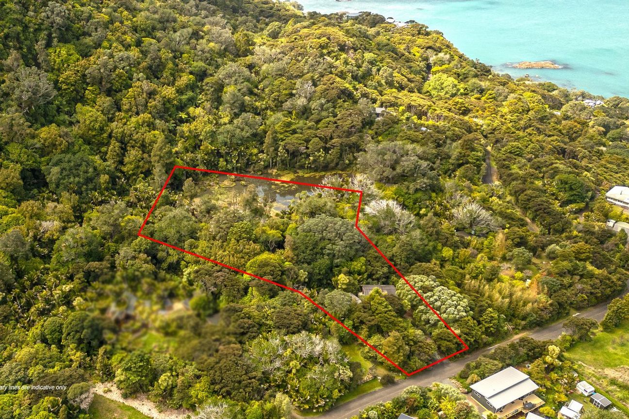 Peaceful on Puriri - Vista 3