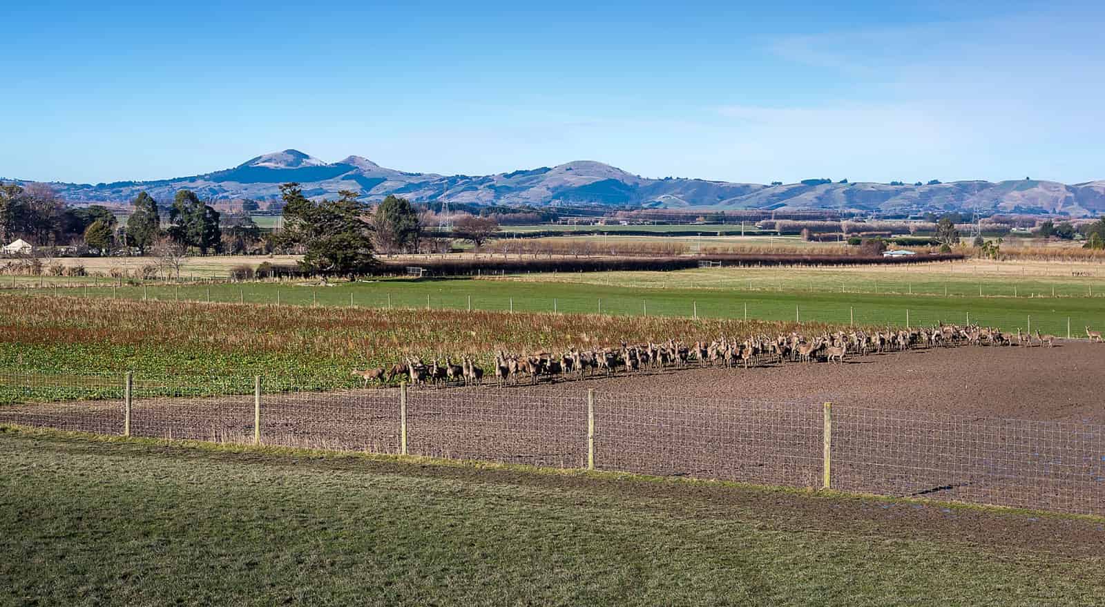 125 Woodside Road, Woodside, Dunedin City For Sale realestate.co.nz