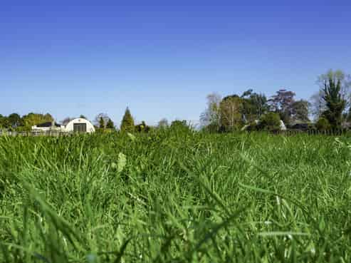3 and 5 Barker Street, Waihou