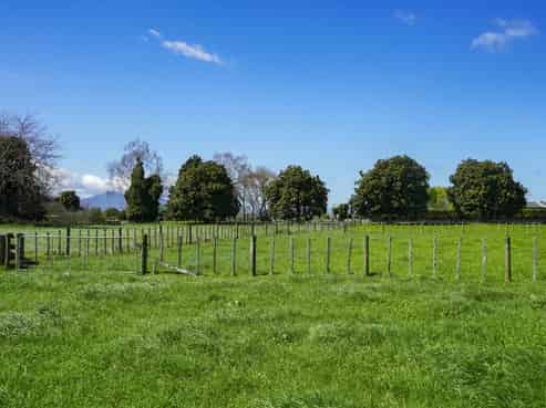 3 and 5 Barker Street, Waihou