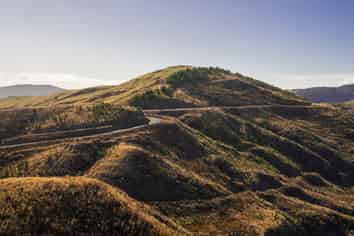  Cooper-Haukanai Forest, Masterton