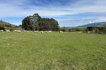 856 Allanton-Waihola Road, Allanton
