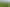 242 Strange Road, Te Aroha