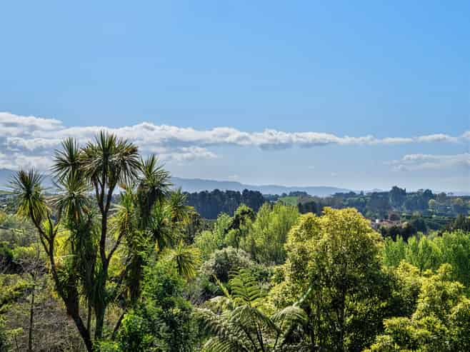 154B Munro Road, Te Puna