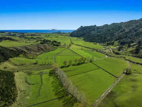 294 Tirohanga Road, Opotiki