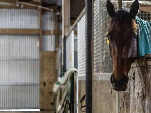 Rogerson Farm development opportunity