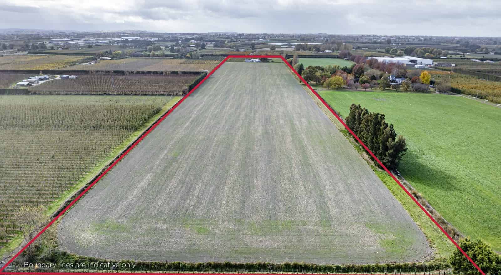 125 Longlands Road, Longlands, Hastings For Sale realestate.co.nz