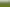 1872A Morrinsville-walton Road, Richmond Downs