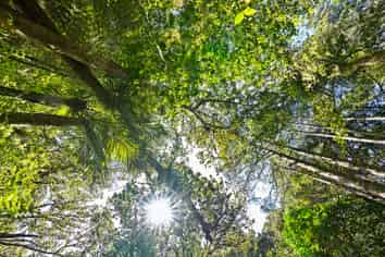 31 Waitorupai Way, Matapouri