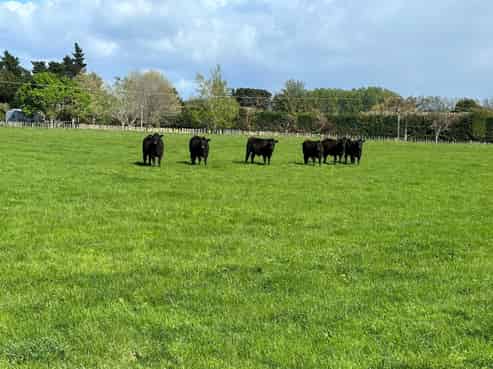 64 Matahiwi Road, Matahiwi