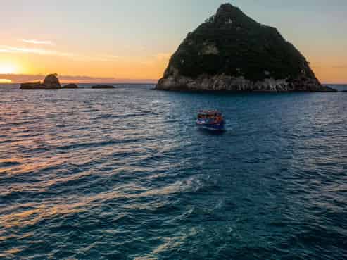 Established Charter Business with Historic Vessel