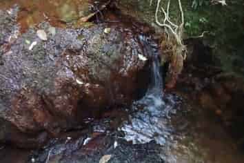 41 Pinehill Road, Pakaraka