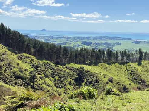 284 McCarthy Road, Opotiki