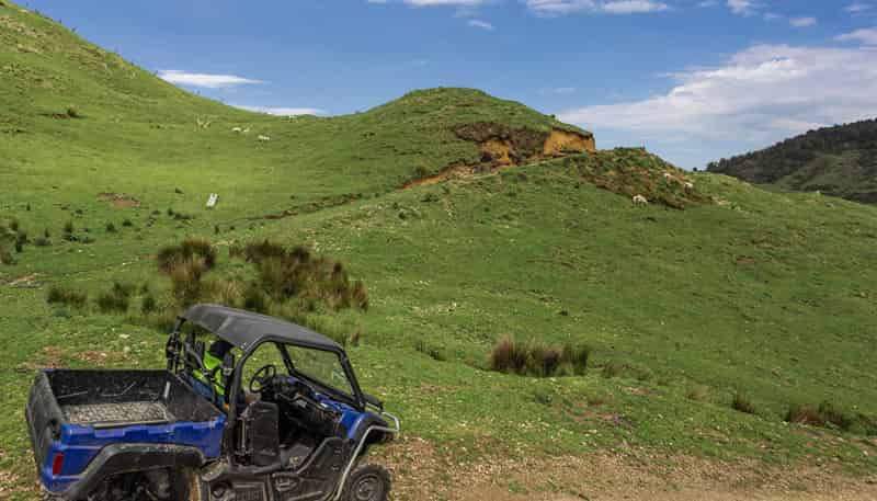 284 McCarthy Road, Opotiki