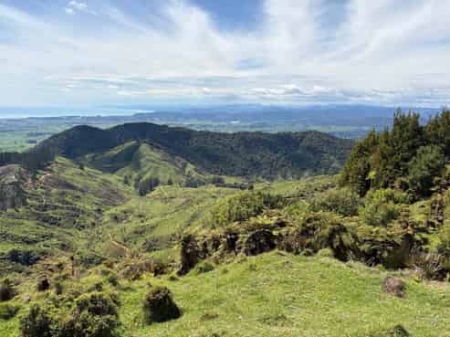 284 McCarthy Road, Opotiki
