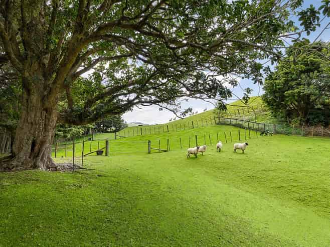  81 Taylor Road, Waimauku