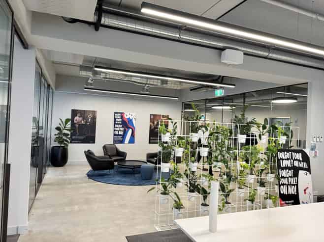 Premium CBD office opportunity