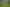 1127 Earnscleugh Road, Clyde