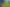 1127 Earnscleugh Road, Clyde